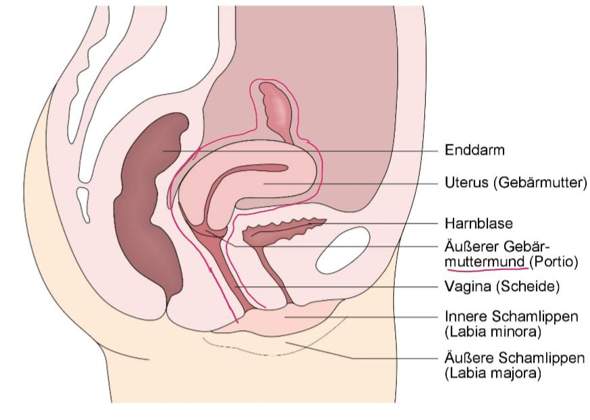 Bekomme Ich Bald Meine 1 Periode Gesundheit Und Medizin Erste Periode Bekomme Ich Bald Meine 1 Periode Gesundheit Und Medizin Erste Periode