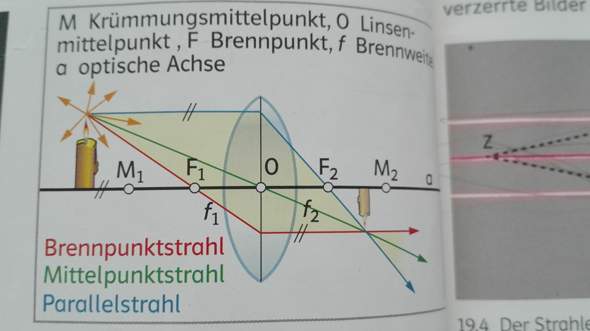 Bild zum Beitrag