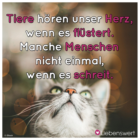 - (Menschen, Leben, Erfahrungen)