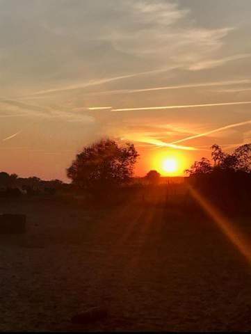 Bild zum Beitrag