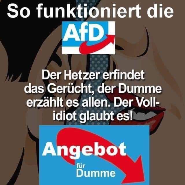 Was Passiert Wenn Die Afd Gewinnt