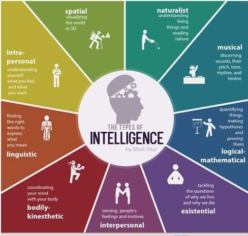 Welche Art Von Intelligenz Gibt Es