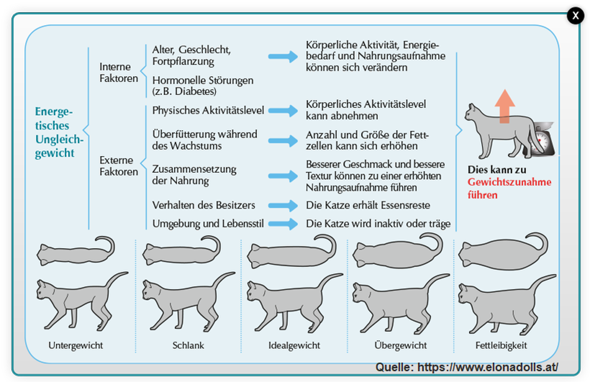 - (Gesundheit und Medizin, Tiere, Gewicht)