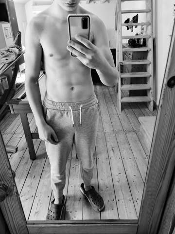 Bild zum Beitrag