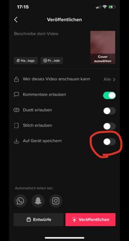 Bild zum Beitrag