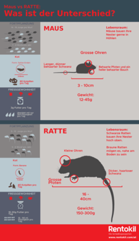 - (Computer, Tiere, Maus)