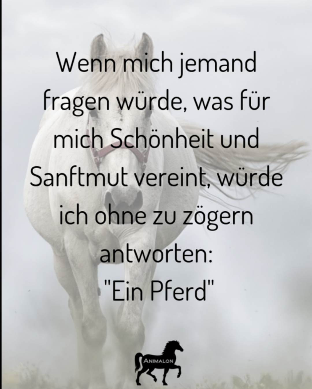 Kennt jemand schöne Pferdesprüche? (Liebe, Liebe und Beziehung, Tiere)