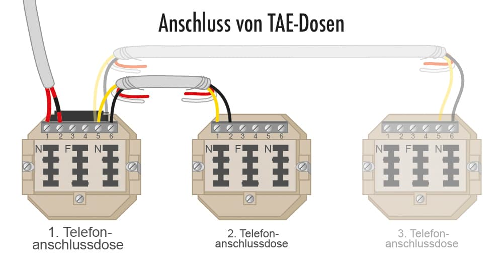 Tae Dose Belegung
