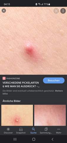 Bild zum Beitrag