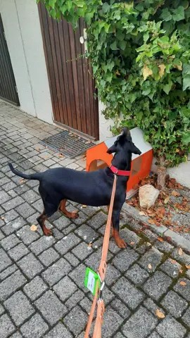 Bild zum Beitrag