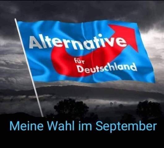 Bild zum Beitrag