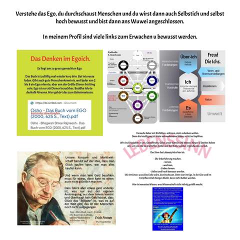 - (Schule, Psychologie, Sprache)