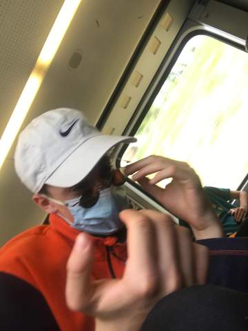 Bild zum Beitrag