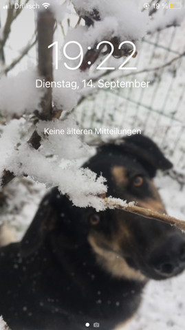 Bild zum Beitrag