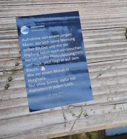 Bild zum Beitrag