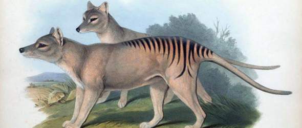 Welche ausgestorbene Tierart würdet ihr wiederbeleben? (Tiere, Dinosaurier)