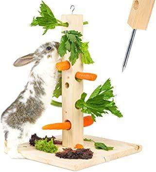 - (Tiere, Meerschweinchen)