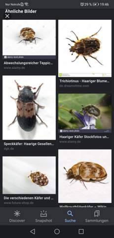 Bild zum Beitrag