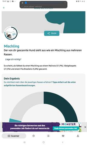 Bild zum Beitrag