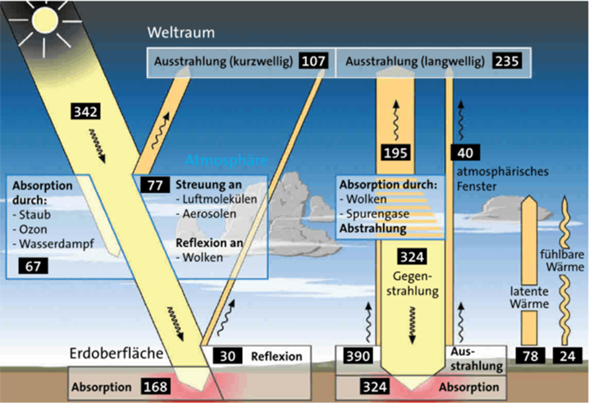 Bild zum Beitrag