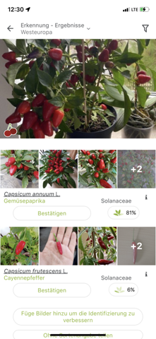 - (kochen, Pflanzen, Garten)