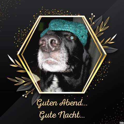 - (Freundschaft, Psychologie, gutefrage.net)