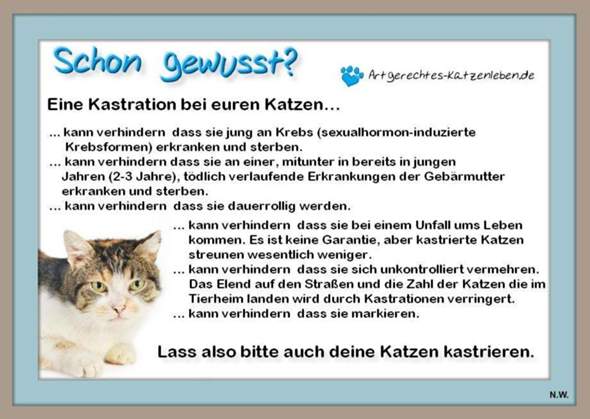  - (Katze, Tiermedizin, Kastration)