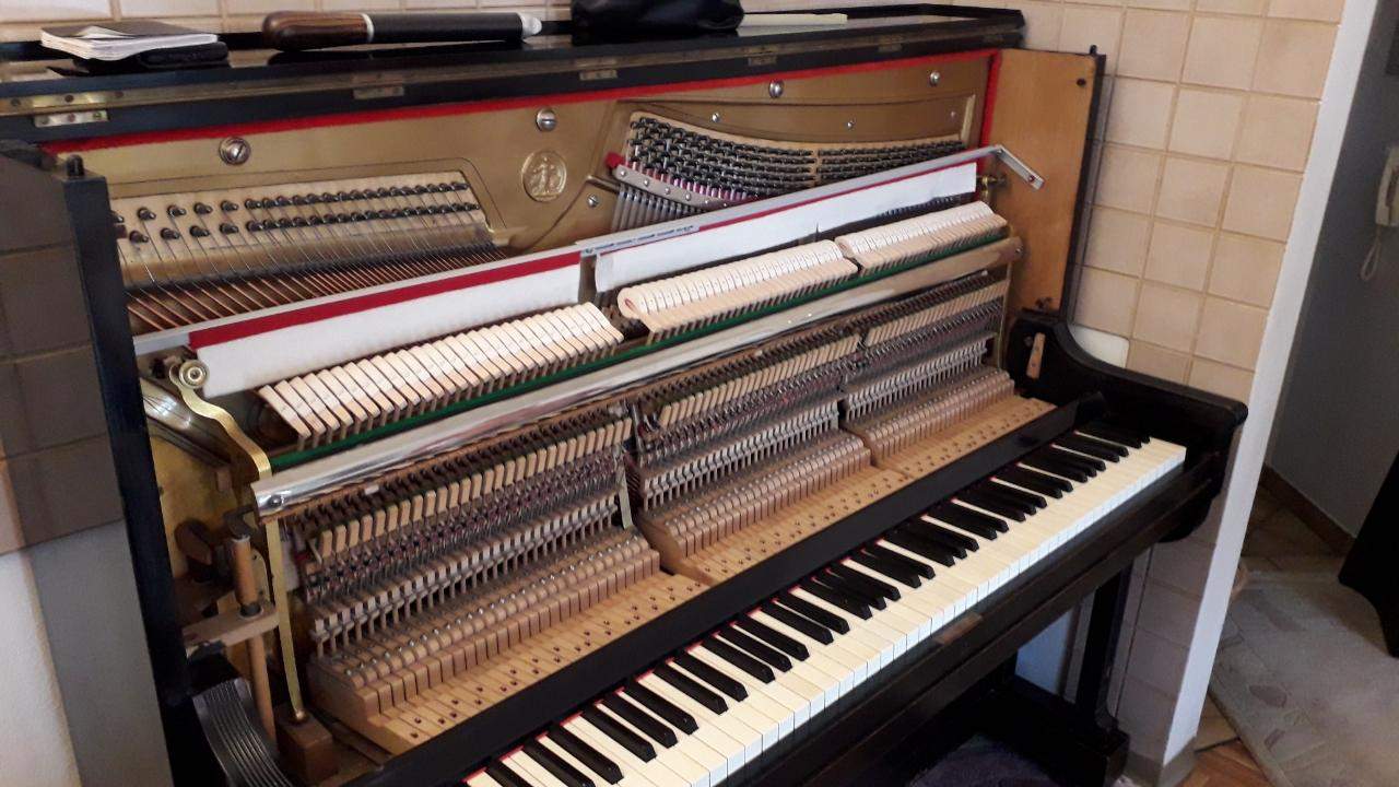 Klavier Stimmung und Reparatur was kostet der Spaß ? (Musik)