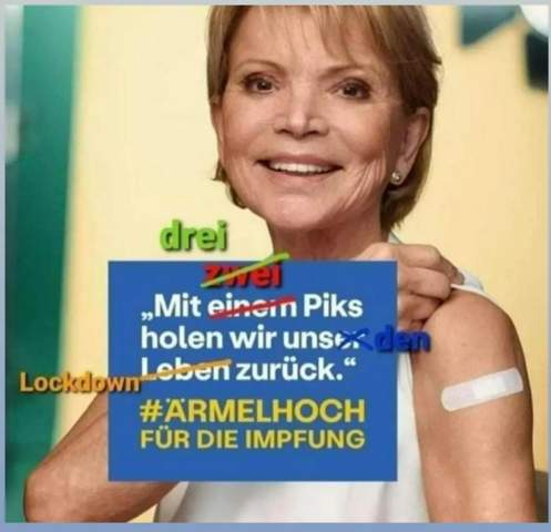 Bild zum Beitrag