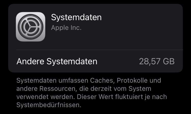 iPhone Speicher in 2 Monaten ohne Grund voll? (Handy, Apple)