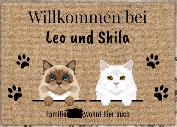 Bild zum Beitrag