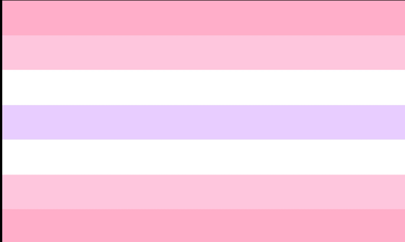  - (LGBT+, Flagge, Fahne)