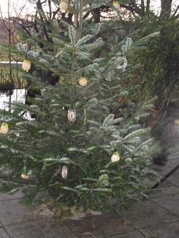  - (Weihnachten, Baum)