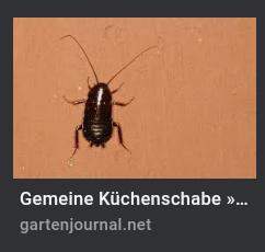 Bild zum Beitrag