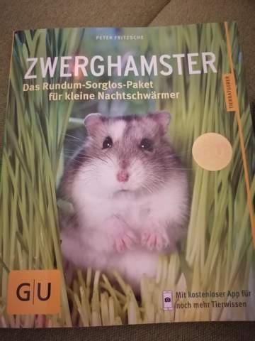 Bild zum Beitrag