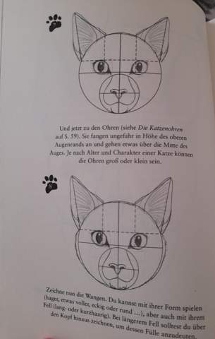  - (zeichnen, Warrior Cats)