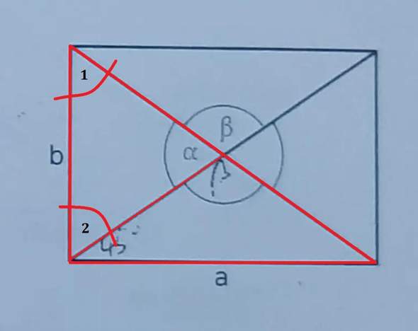 Diagonalen im Rechteck (Winkel berechnen)? (Schule, Mathematik, Sinus)