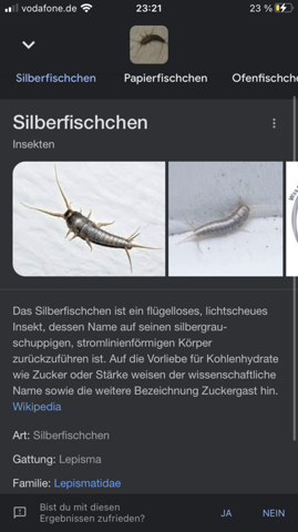  - (Tiere, Insekten, Käfer)