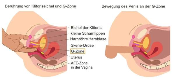 Mdels wie trifft man den g Punkt bei euch? (Sex, Selbstbefriedigung, Haare frben) Mdels wie trifft man den g Punkt bei euch? (Sex, Selbstbefriedigung, Haare frben)