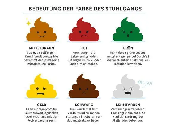 Stuhlgang? (Gesundheit und Medizin, Gesundheit)