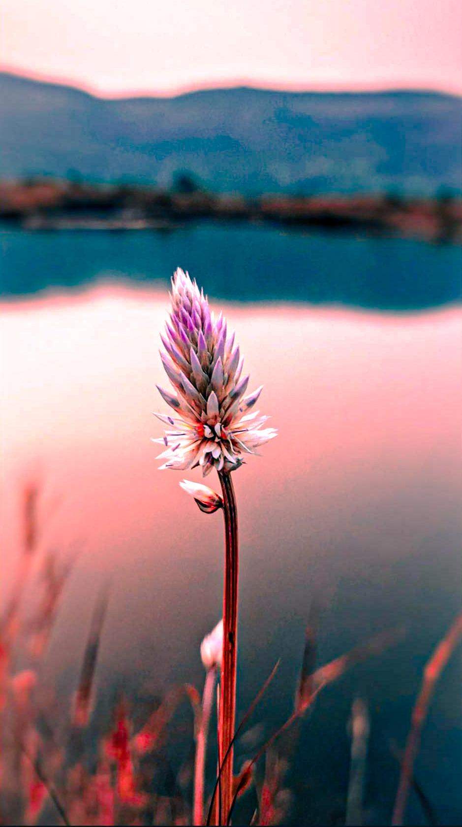 Picsart Bild bearbeiten? (Computer, Bilder, Foto)