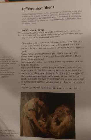 Bild zum Beitrag