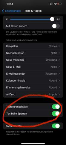 Bild zum Beitrag