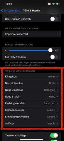 Bild zum Beitrag