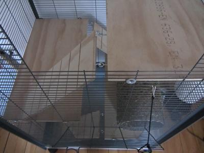Nagervoliere - Bretter und Leitern befestigen - (Vögel, basteln, bauen)