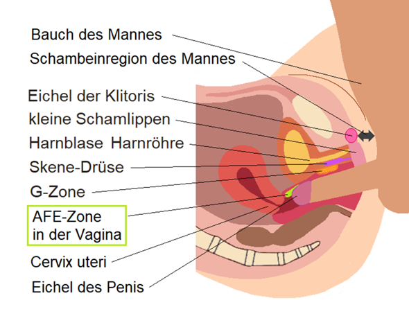  - (Sex, Frauen, Penis)