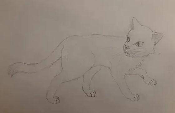  - (Tiere, Katze, zeichnen)