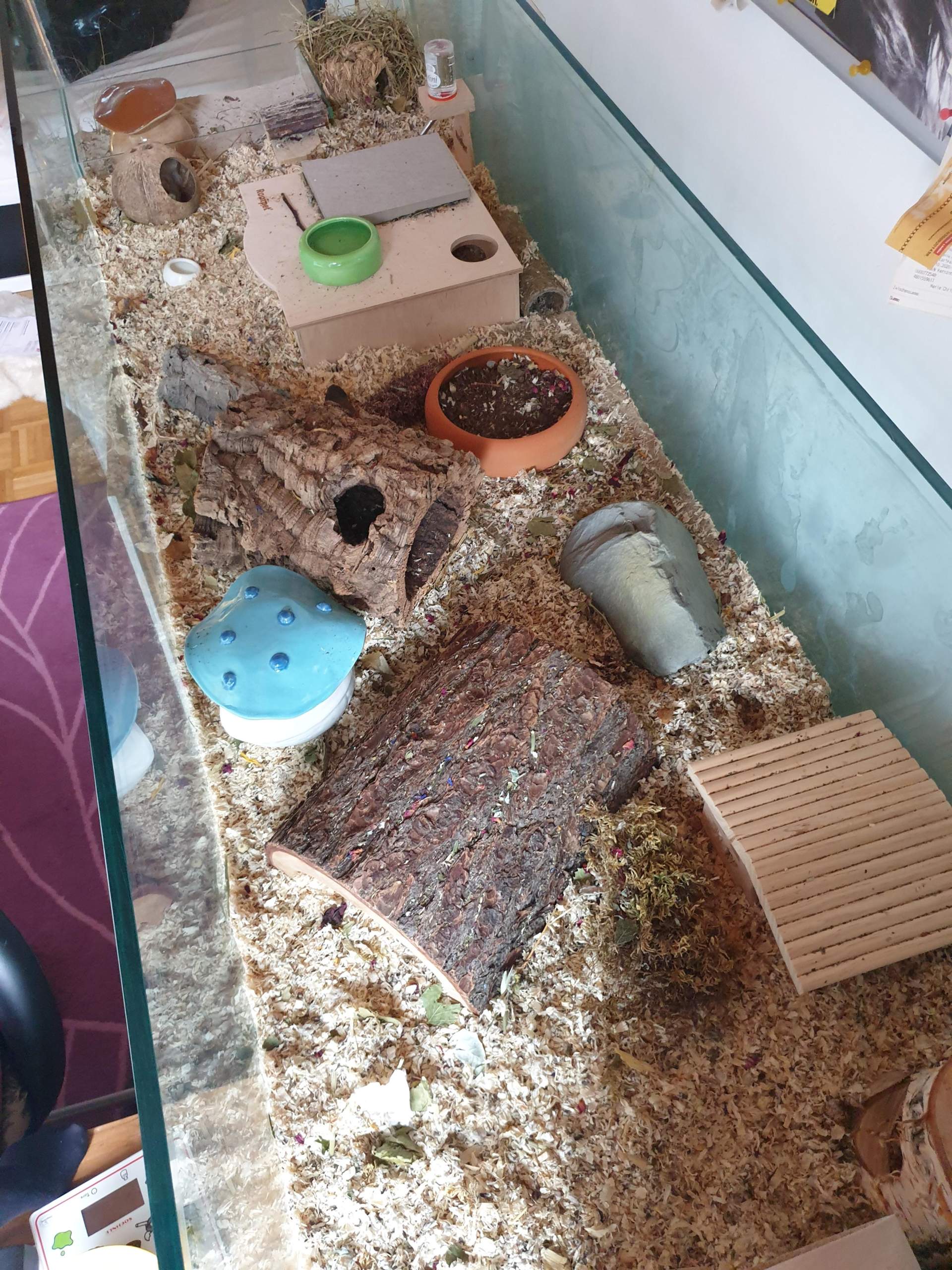 Wie kann ich mein Hamsterkäfig verschönern/artgerechter gestalten? (Tiere, Hamster, Kleintiere)