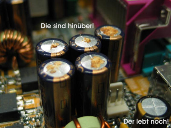 Bild zum Beitrag