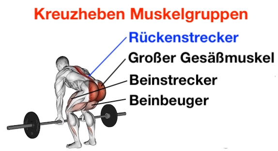 Bild zum Beitrag